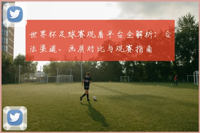 世界杯足球赛观看平台全解析：合法渠道、画质对比与观赛指南
