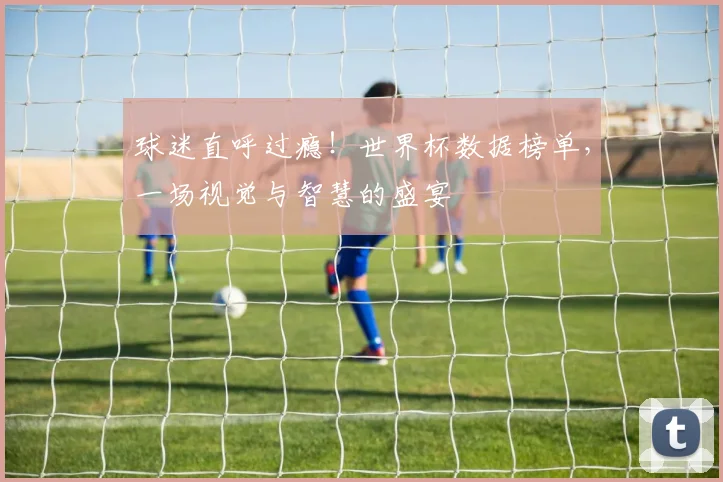 球迷直呼过瘾！世界杯数据榜单，一场视觉与智慧的盛宴
